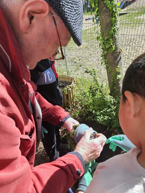 Gemeinsam lernen beim Einpflanzen