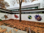 Insektenwand