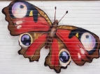 Schmetterling