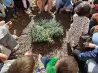 Gesprächskreis im Schulgarten mit allen zusammen