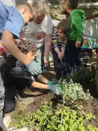 Einpflanzen und gießen