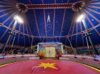 Zirkus03